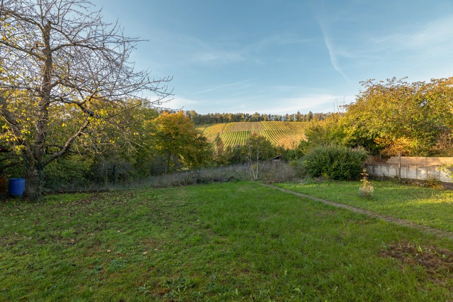 Charmanter Bungalow mit idyllischem Garten nahe den Weinbergen - Garten mit Blick in die Weinberge (76819)