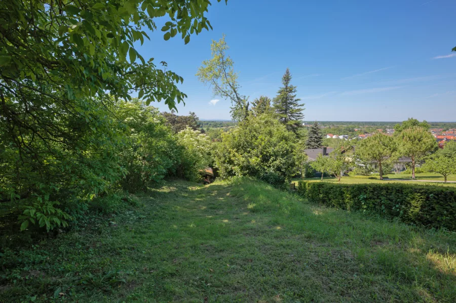 Blick vom Gartengrundstück